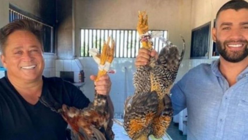 Gusttavo Lima e Leonardo postam foto com animais mortos Gusttavo Lima e Leonardo postam foto com animais mortos